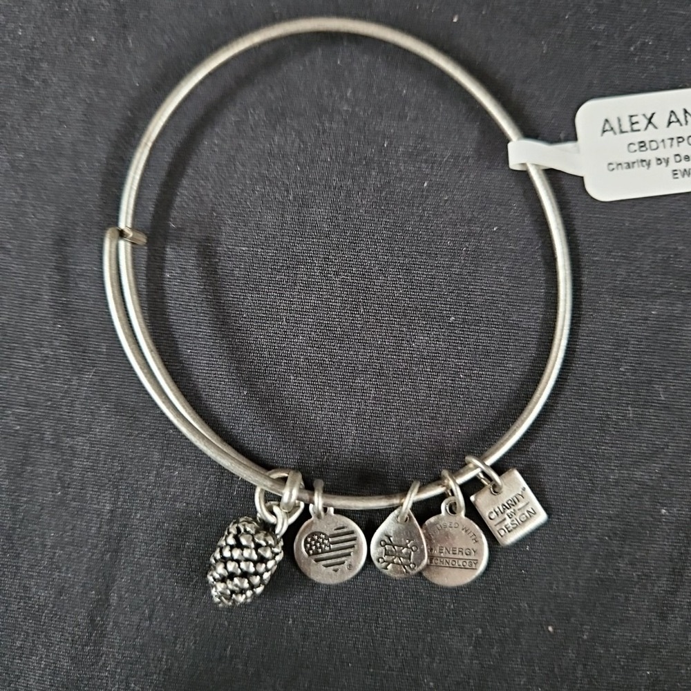Alex and Ani Pine Cone Charm Bracelet NIB Silver Expandable Bangle